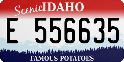 ID license plate E556635