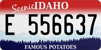 ID license plate E556637