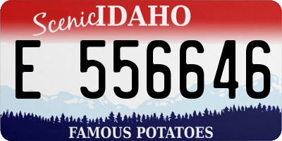 ID license plate E556646