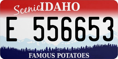 ID license plate E556653