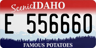 ID license plate E556660