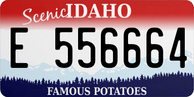 ID license plate E556664