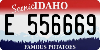 ID license plate E556669