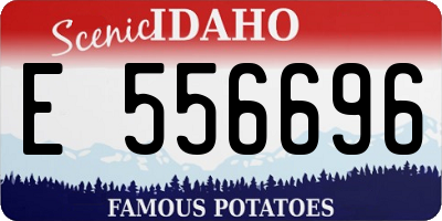 ID license plate E556696
