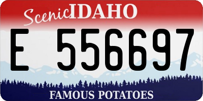 ID license plate E556697