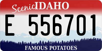 ID license plate E556701