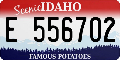 ID license plate E556702