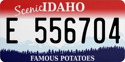 ID license plate E556704