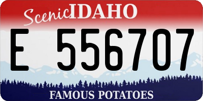 ID license plate E556707