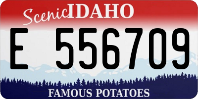ID license plate E556709