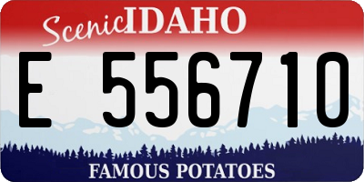 ID license plate E556710