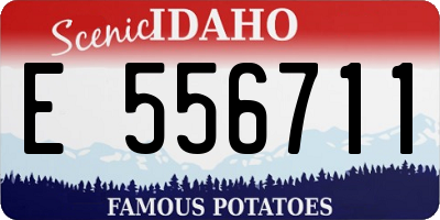 ID license plate E556711
