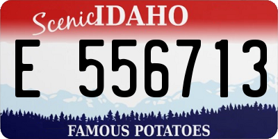 ID license plate E556713