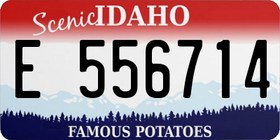 ID license plate E556714