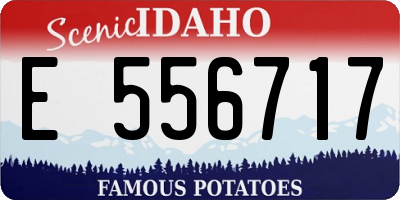 ID license plate E556717