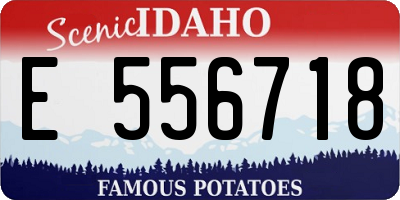 ID license plate E556718