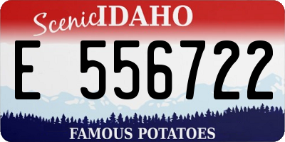 ID license plate E556722