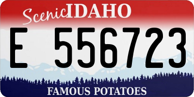 ID license plate E556723