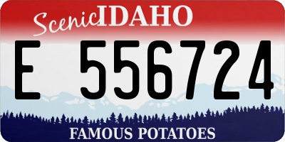 ID license plate E556724