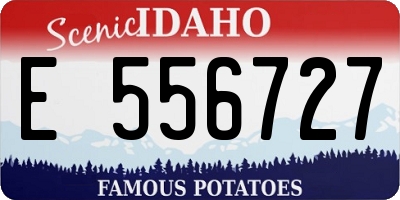 ID license plate E556727
