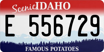 ID license plate E556729