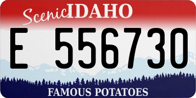 ID license plate E556730