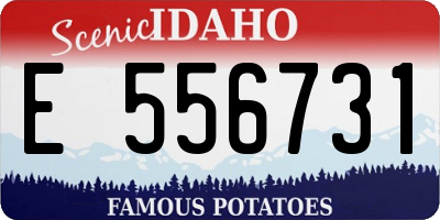 ID license plate E556731