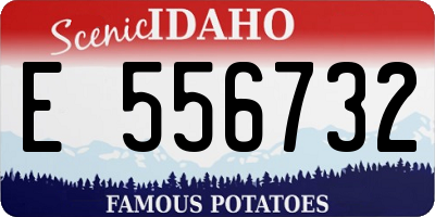 ID license plate E556732