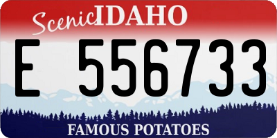 ID license plate E556733