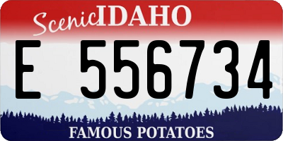 ID license plate E556734