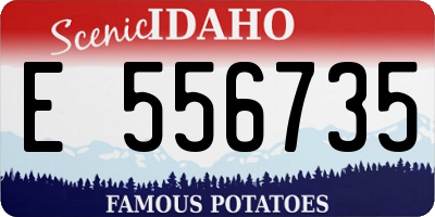 ID license plate E556735