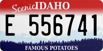 ID license plate E556741
