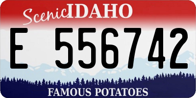 ID license plate E556742