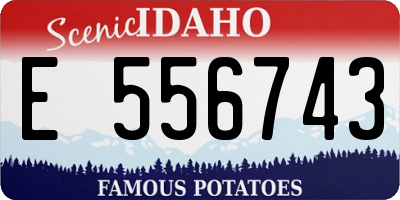ID license plate E556743