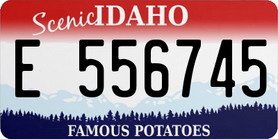 ID license plate E556745