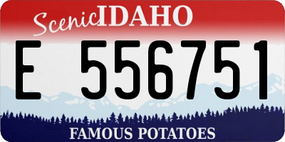 ID license plate E556751