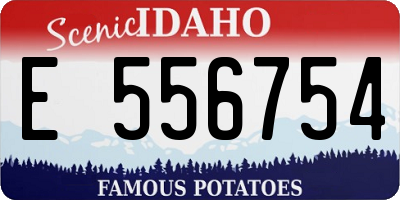 ID license plate E556754