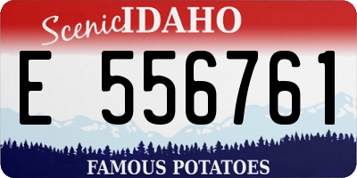 ID license plate E556761