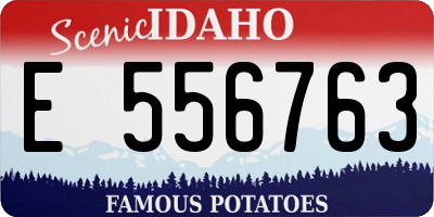 ID license plate E556763