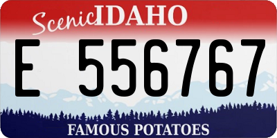 ID license plate E556767