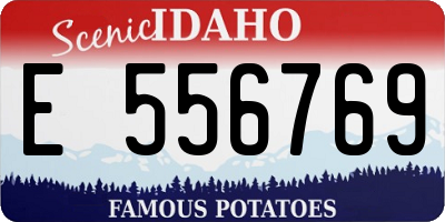 ID license plate E556769