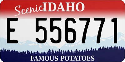 ID license plate E556771