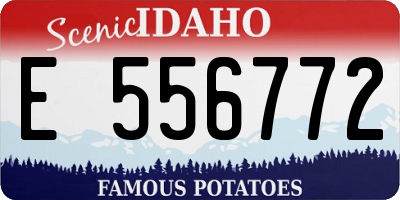 ID license plate E556772