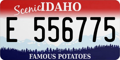 ID license plate E556775