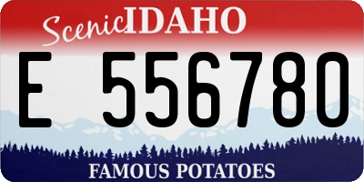 ID license plate E556780