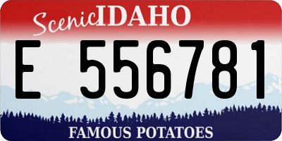 ID license plate E556781