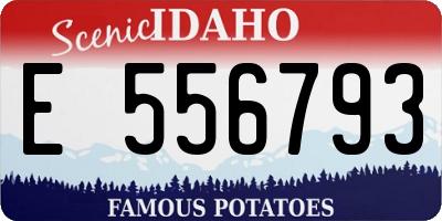 ID license plate E556793