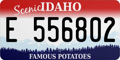 ID license plate E556802