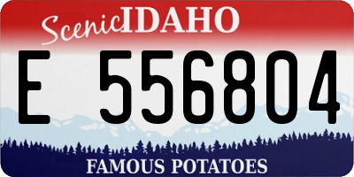 ID license plate E556804