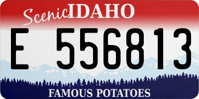 ID license plate E556813